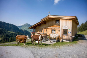 Alm-Appartement - Fam. Niedermühlbichler